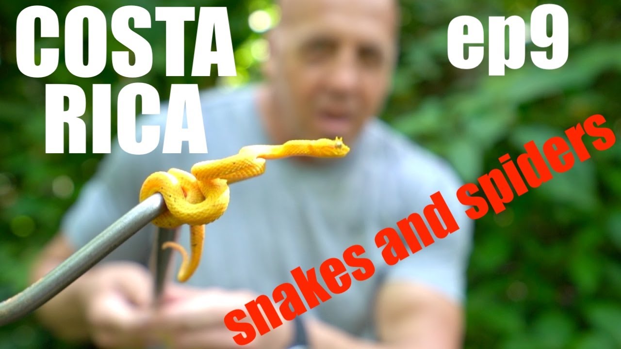 COSTA RICA | ECOVIDA AND LA SELVA OTS | EP. 9