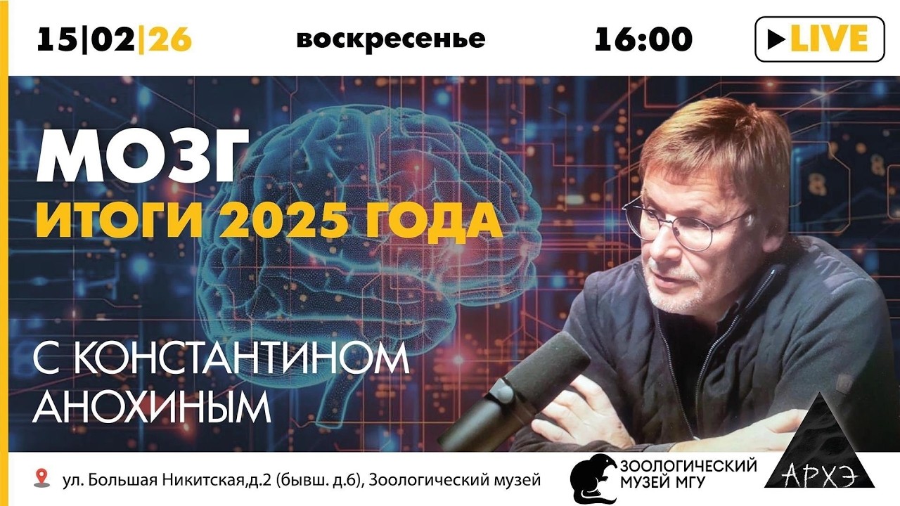 Лекция Константина Анохина «Мозг: итоги 2025 года»