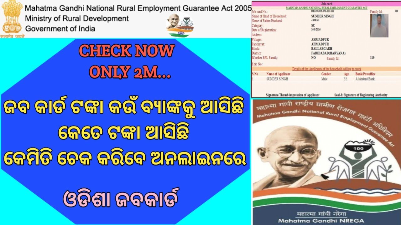 How to check job card link bank account I Job Card Paisa Kaise Dekhe I Odisha Job Card I