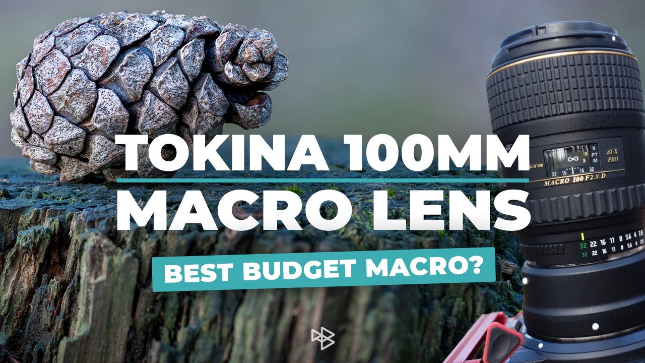Is This the Best Budget Macro Lens You Can Get?