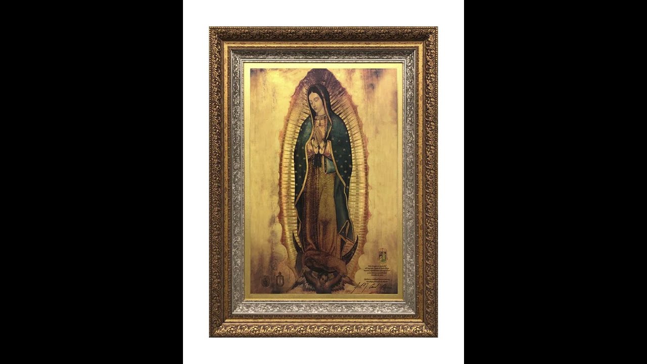 #ManuelJosé | Homenaje a Santa María de Guadalupe 12 de diciembre 2021
