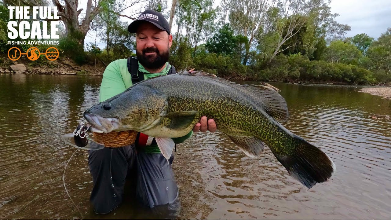 New Water Equals Big Bites | The Full Scale