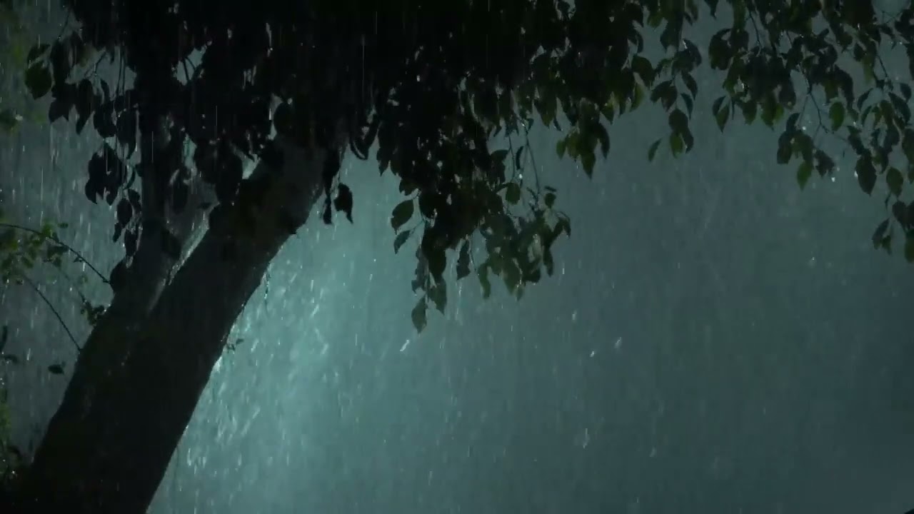 雷雨夜晚   White Noise Summer Massive Thunderstorm Sounds | Sleep, Study, Focus | 12 Hours