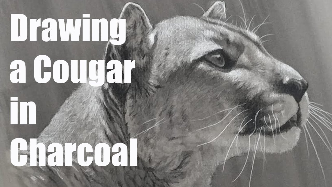 Live Stream - Drawing with Charcoal