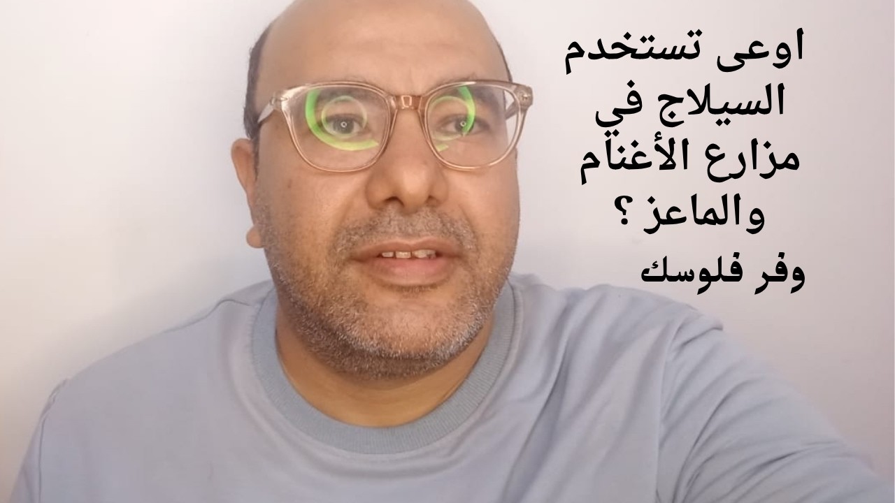 أسرار نجاح السيلاج في مزارع الأغنام والماعز: اكتشف كيف يغير قواعد لعبة تربية الأغنام والماعز