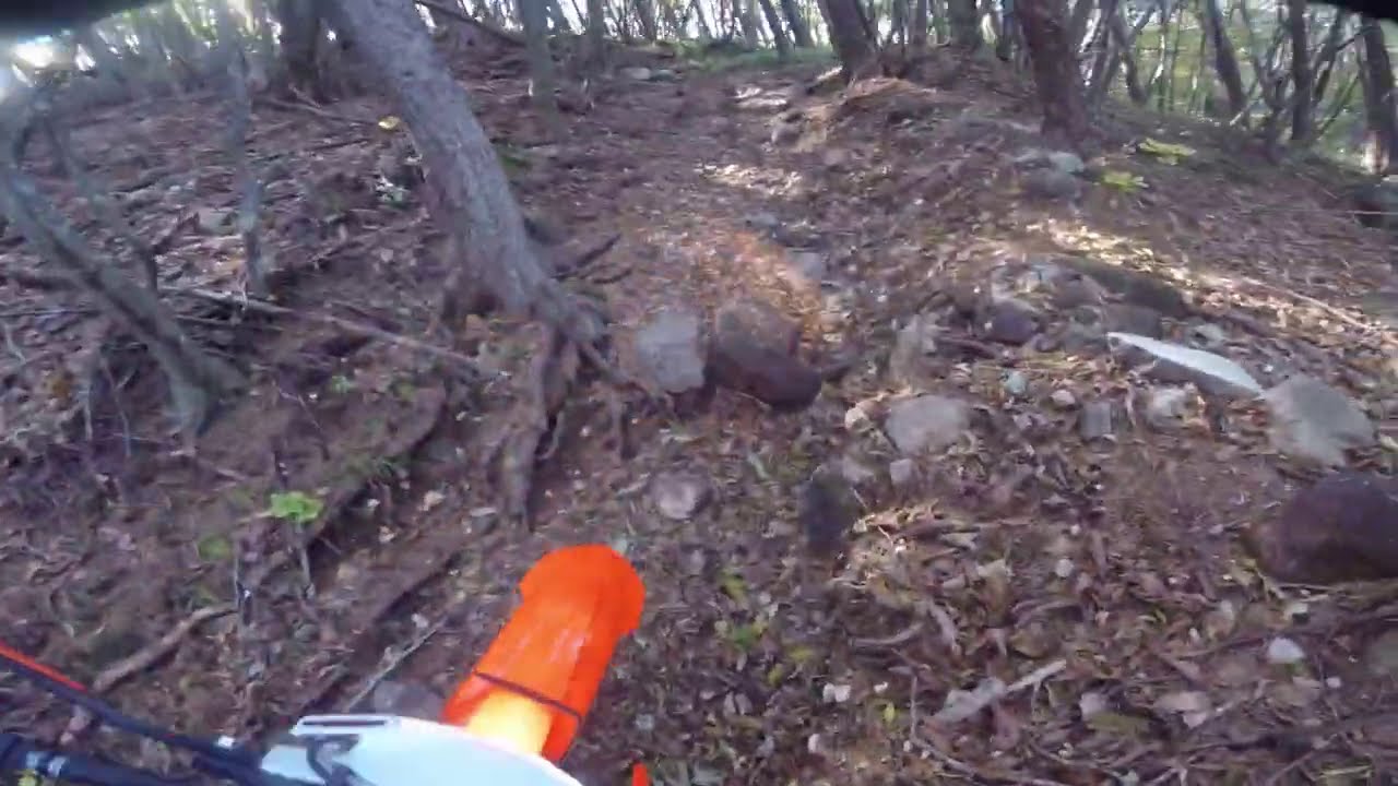 2021 KTM 300 TPI- First Ride Impressions