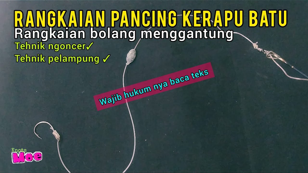 Rangkaian pancing kerapu batu ✓ rangkaian pancing dasaran #knotsmoe