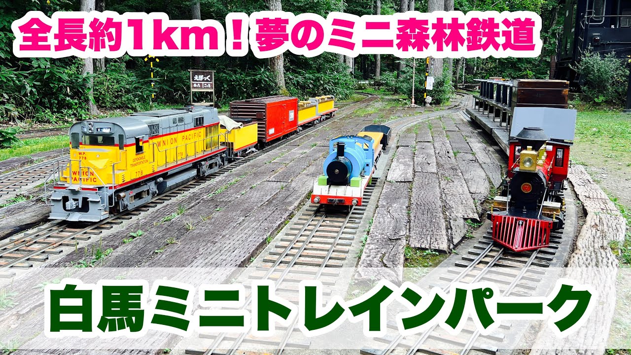 【ミニSL】子鉄も大人も楽しい！白馬ミニトレインパークで夢のミニ森林鉄道に乗ってきた