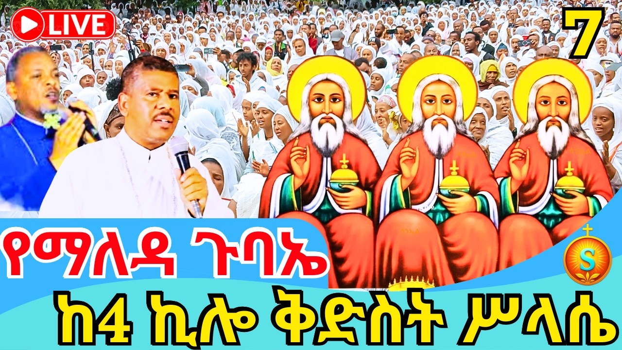 🔴 LIVE| የማለዳ ጉባኤ ከ4 ኪሎ ቅድስት ሥላሴ| የካቲት 7,2018 | Blessed Morning Gathering at 4 Kilo Holy Trinity