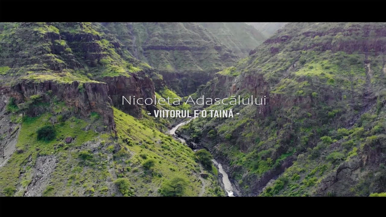 Viitorul e o taină - Nicoleta Adascalului
