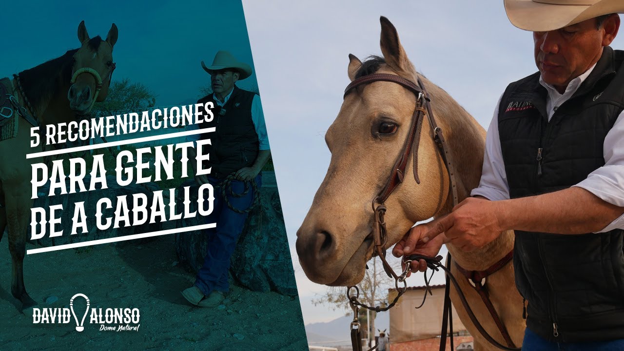 5 Recomendaciones para gente de a caballo