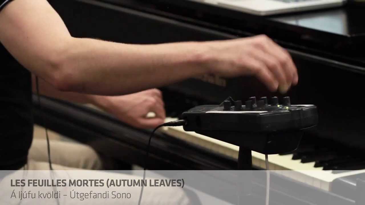 Les Feuilles Mortes (Autumn Leaves) - Þór Breiðfjörð