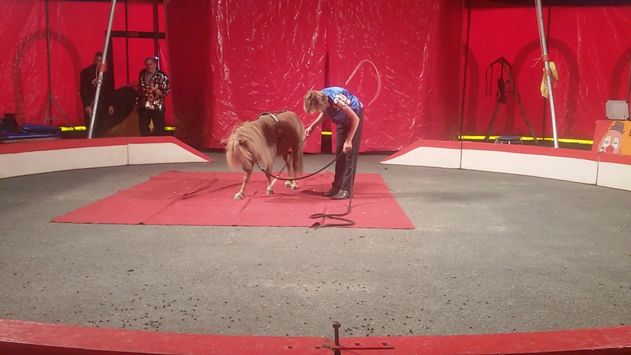Cirque dumas