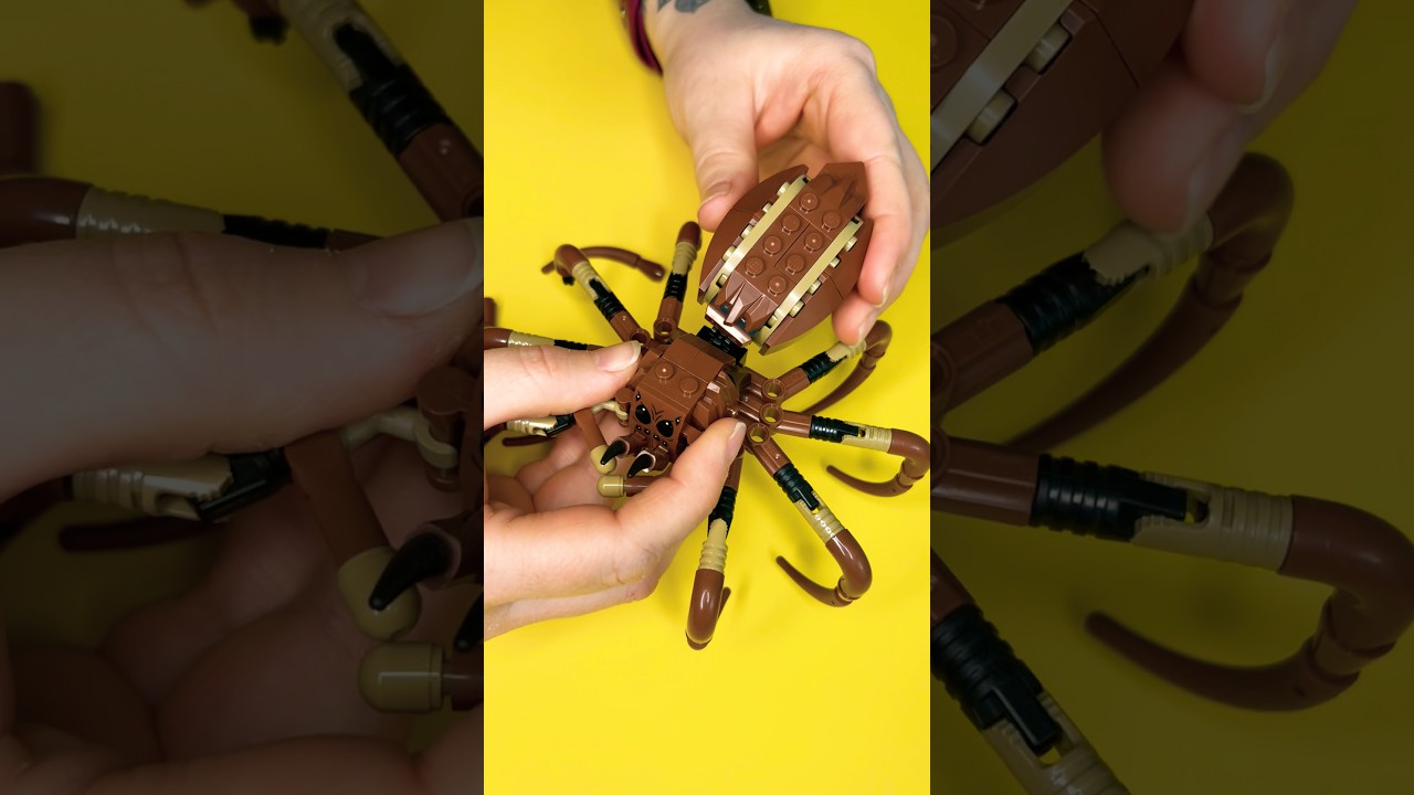 &ldquo;LEGO Harry Potter Spider Unboxing &ndash; $20 Set Magic & Details!&rdquo;