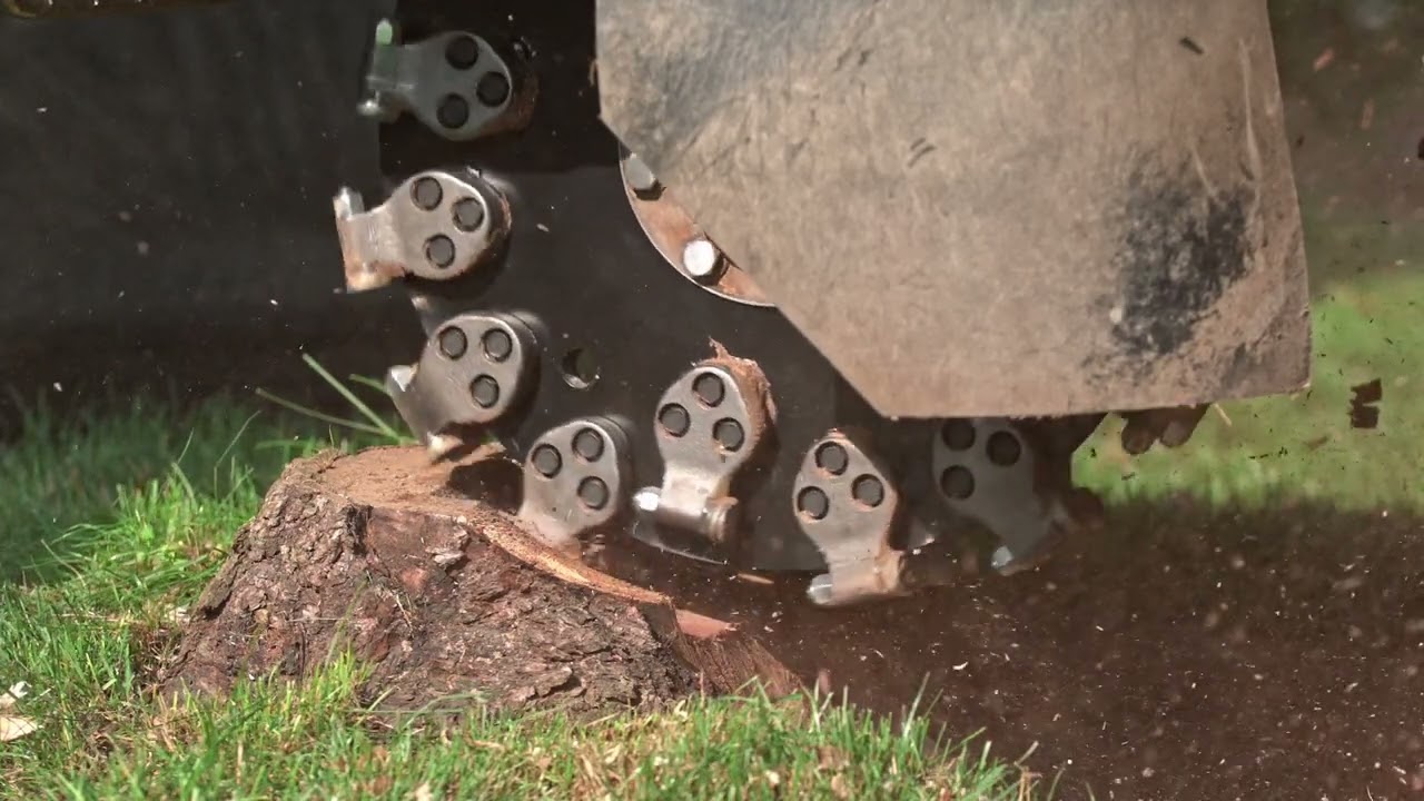 Up Close Look at Greenteeth&reg; in Slow Motion