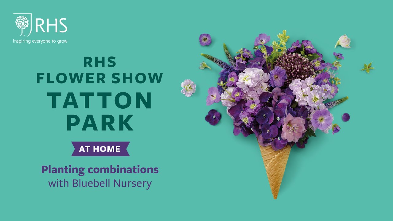 Planting combinations with Bluebell Nursery | Tatton Park at Home 2020 | RHS