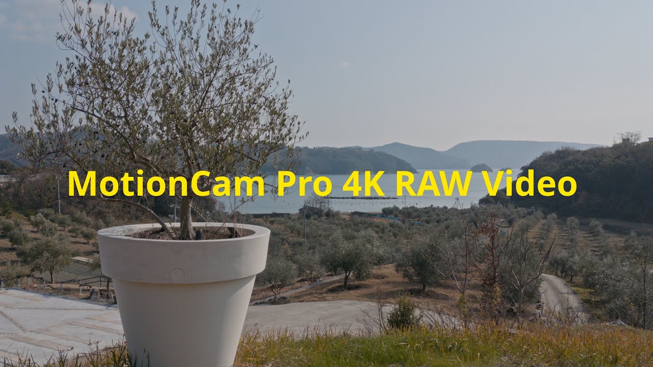 MotionCam PRO CinemaDNG  4K  RAW with Android Smartphone /film look