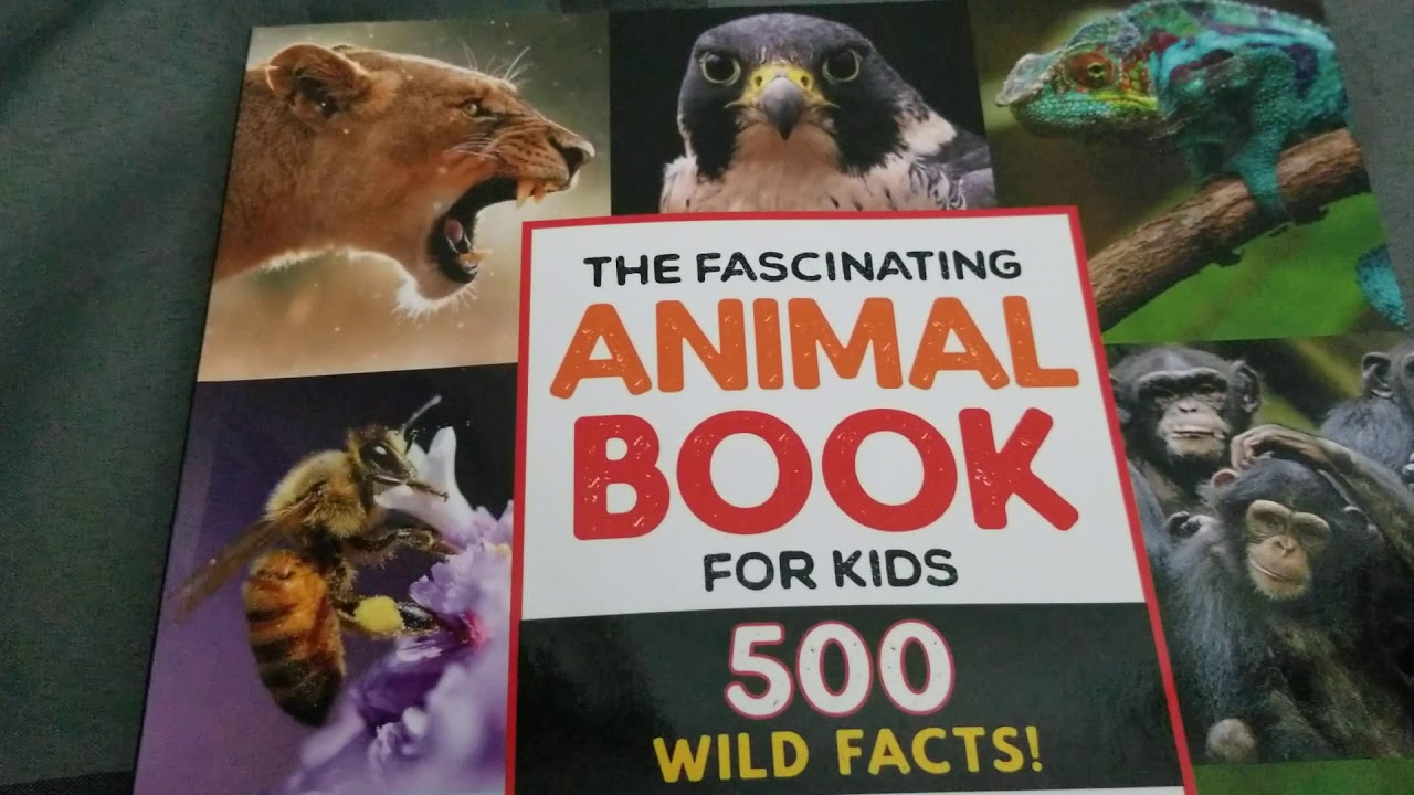 Fascinating Animal Facts Book
