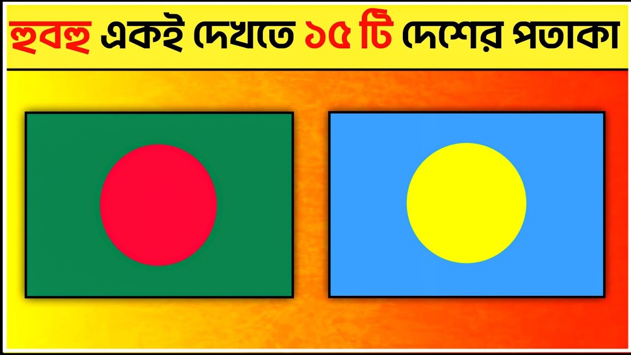 কোনটা কোন দেশের পতাকা? দেখলে কনফিউজ হবেন! 🤯