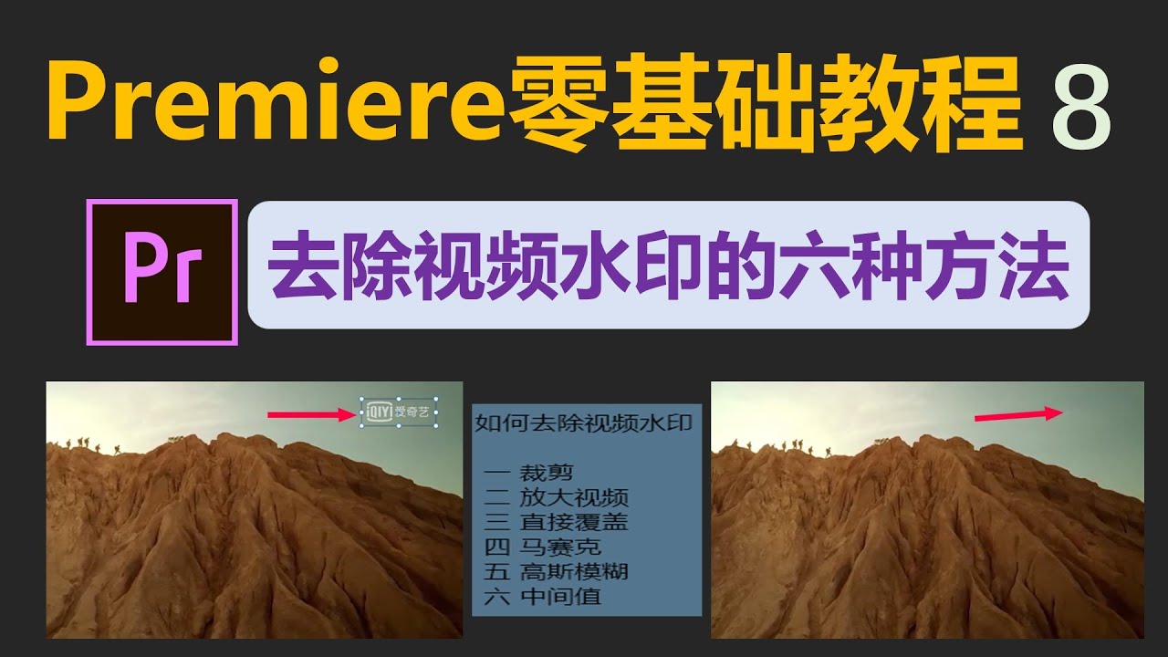 [203]Premiere Pro中去除视频水印的6种方法 │自媒体人必备的去除水印技巧│Promiere去除logo│Promiere零基础教程