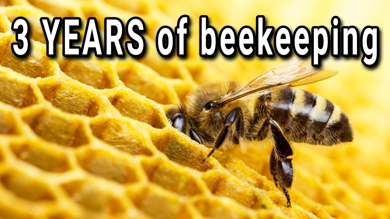 A FULL season of beekeeping - from day 1 to honey harvest