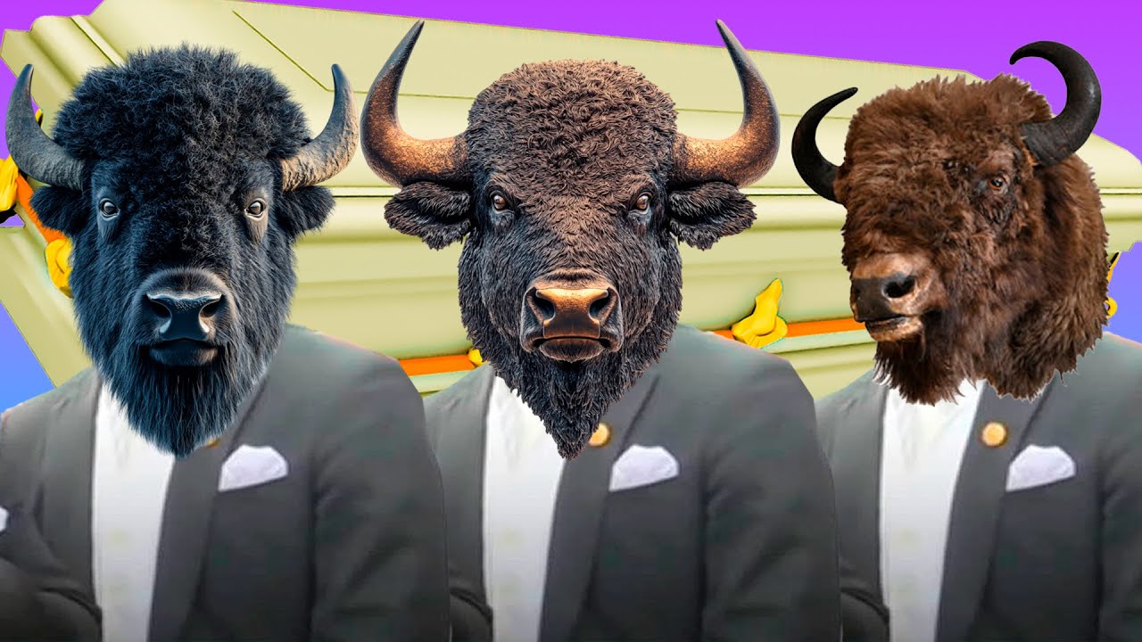 Bisons - Coffin Dance Song (COVER)