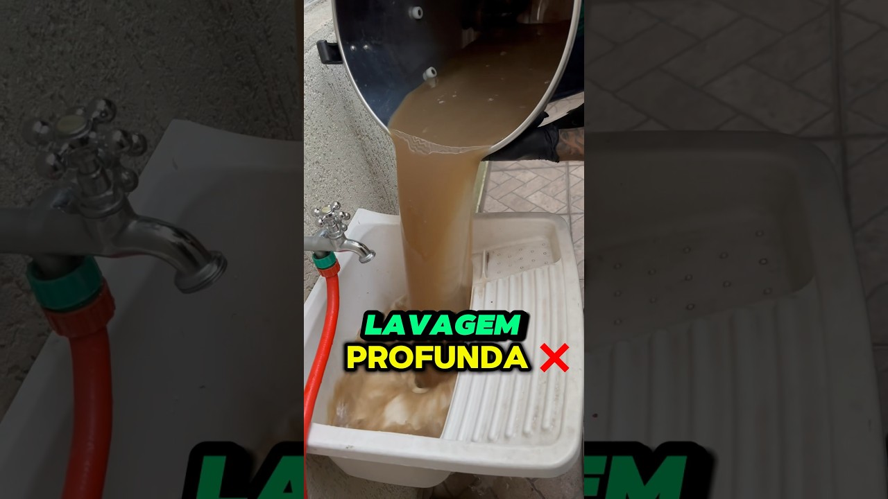 LIMPEZA PESADA DE SOFÁ | Remoção de manchas 