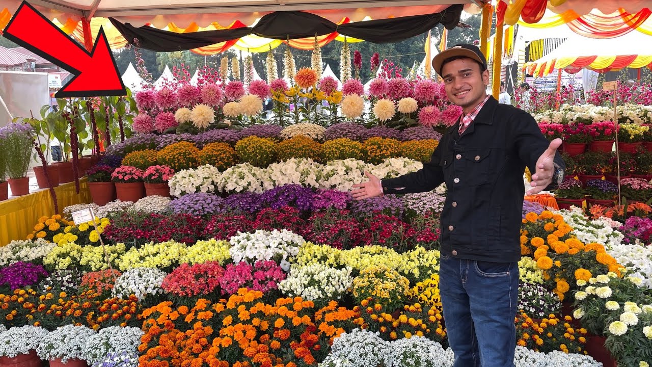 इतना खूबसूरत नज़ारा कभी नहीं देखा ! 😲🌷 देहरादून Flower Festival 2025 ! DAY 1