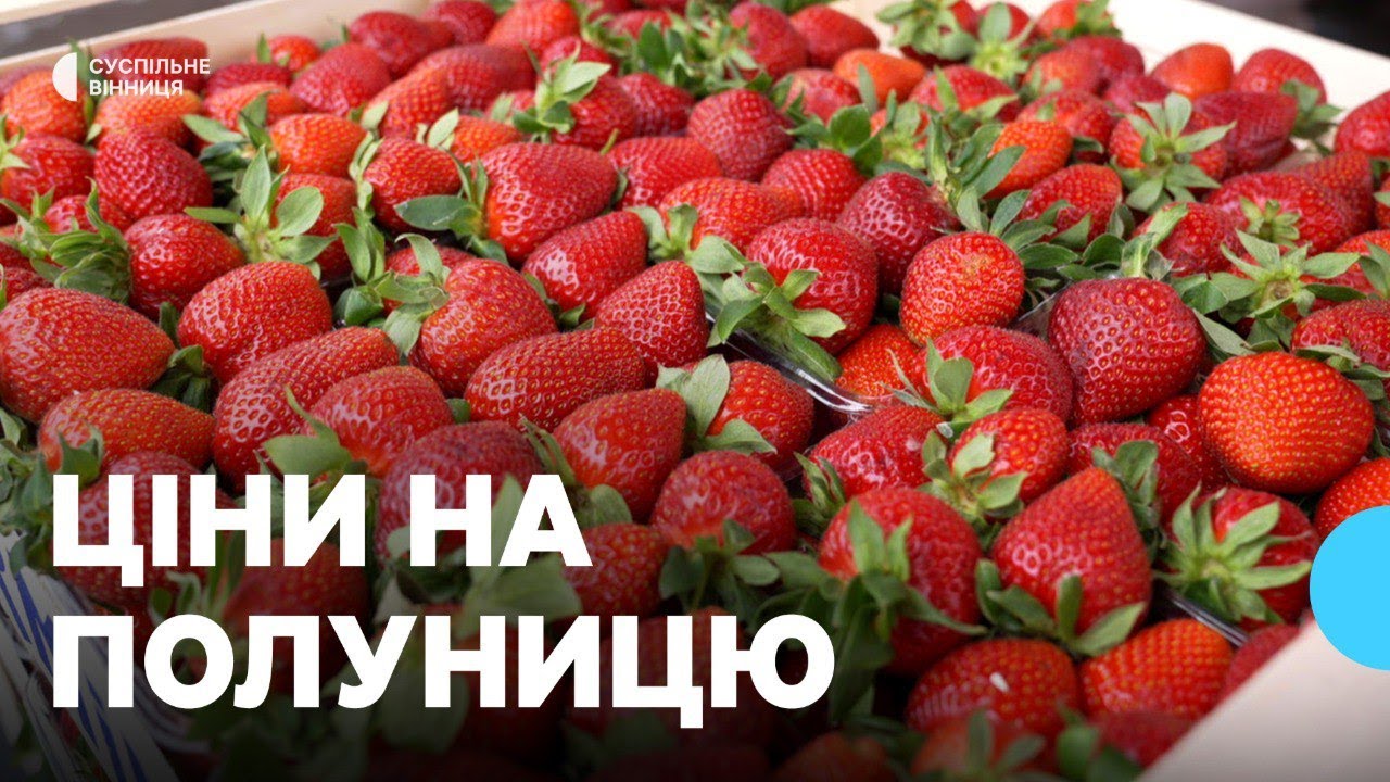 Полуничний сезон: скільки коштують ягоди на ринках у Вінниці
