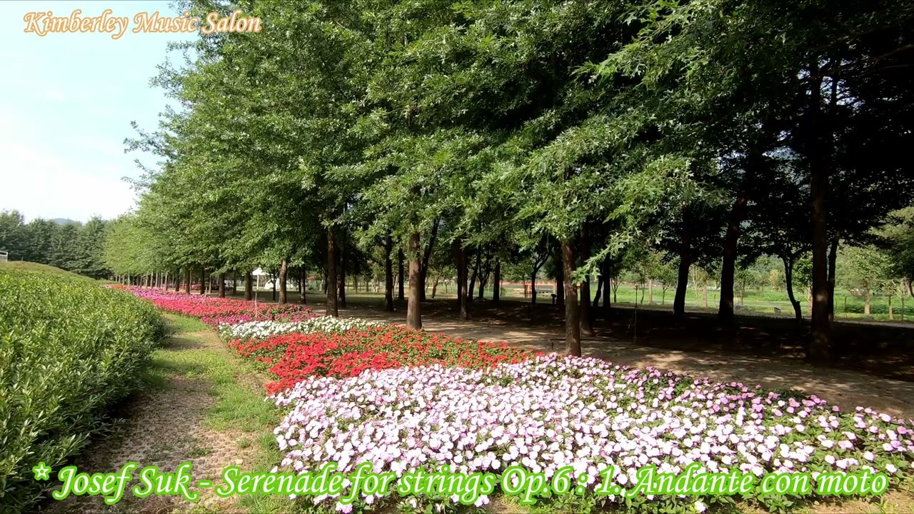 Josef Suk - Serenade Op.6 - 1. Andante con moto