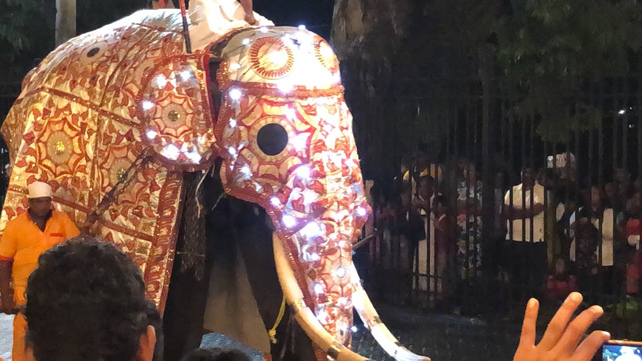 #Elephant Sabaragamuwa Maha Saman Devalaya Perahera 2020