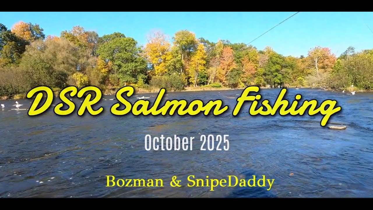 DSR Salmon Fishing - Oct. 2025 - Pulaski, NY