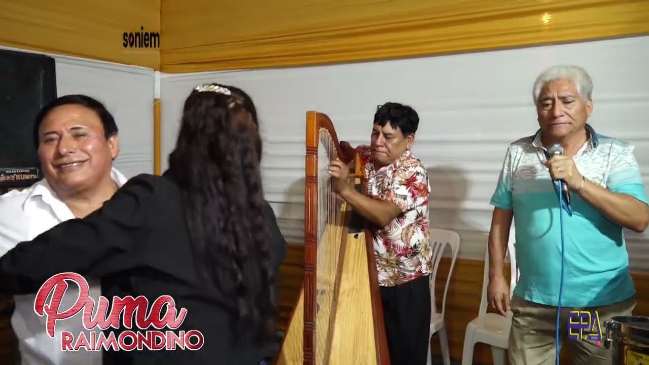 PUMA RAIMONDINO / Parrandas bailables arpa: Cesar Varillas ( Cumpleaños Victor Trebejo 2024 )