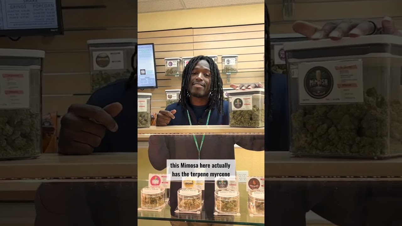Favorite strains  short #shorts