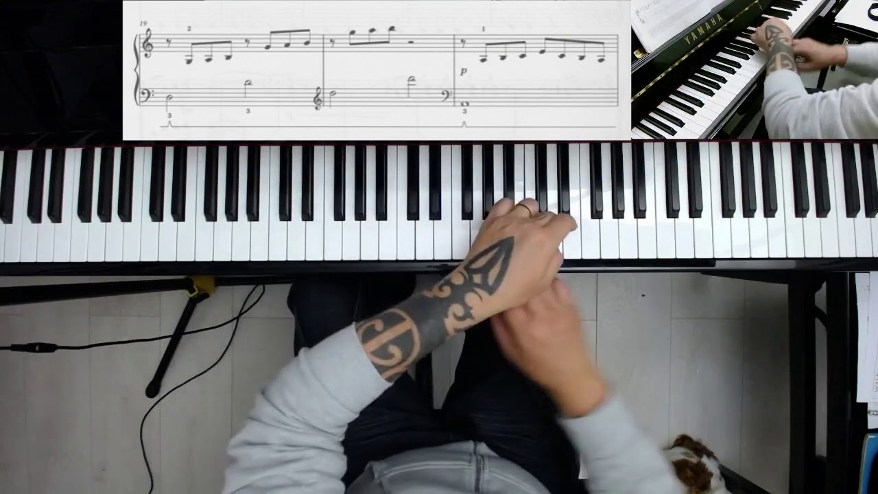 Angelfish (Anne Crosby Gaudet) - ABRSM grade 2 2021 / 2022