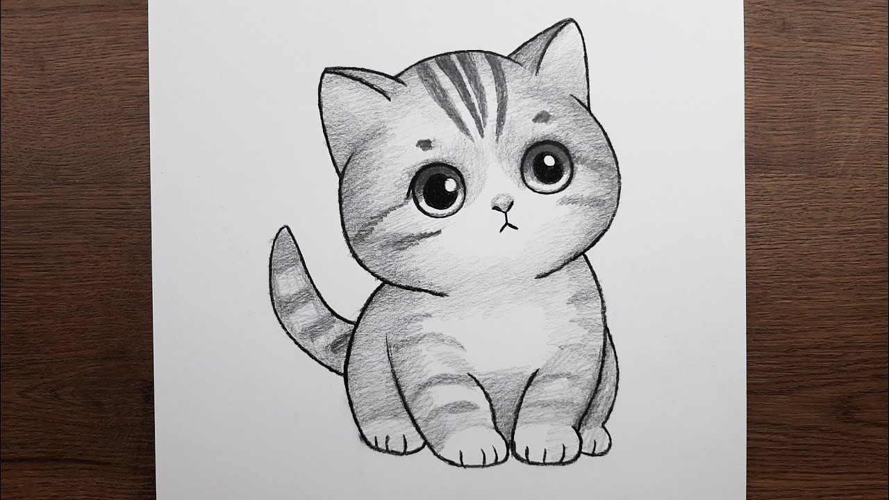 Sevimli kedi çizimi, Kolay karakalem kedi resmi adım adım nasıl çizilir, çizim eğitimi
