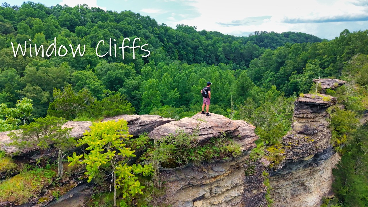 Hiking Window Cliffs, TN: Hidden Hiking Adventure in Tennessee