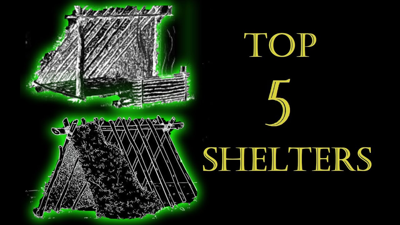 5 Survival Shelter Ideas Everyone Should Know! | My forest hobby |