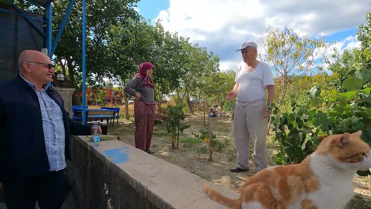 ERZİNCAN İSTANBUL ARASI | UZUN YOL | 