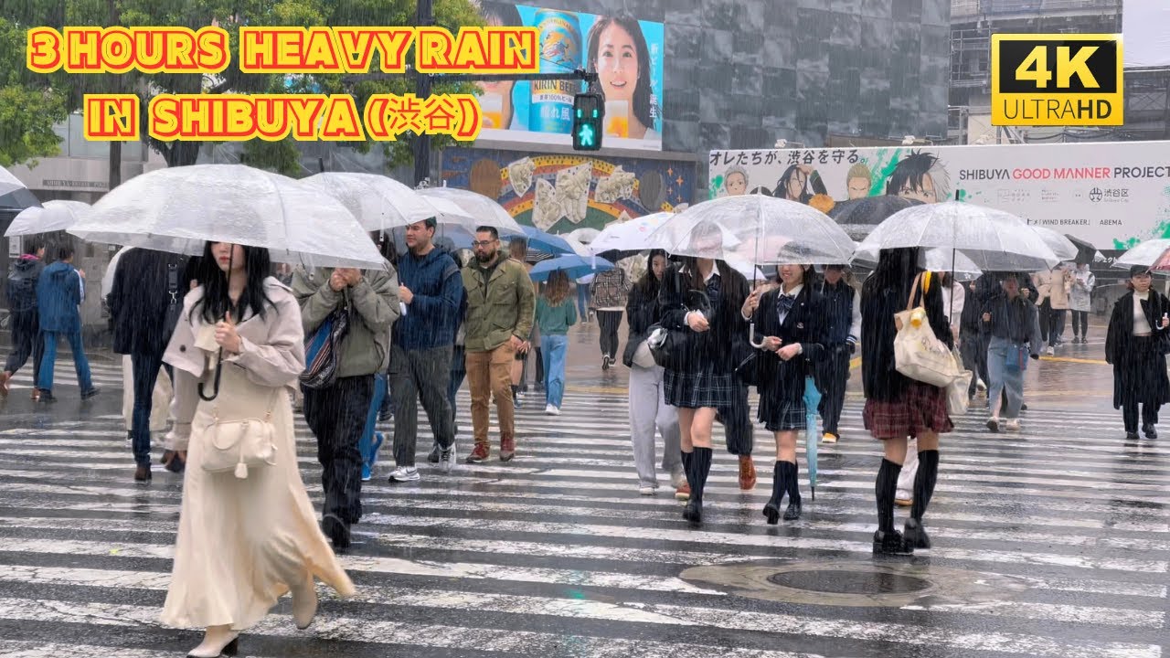 【4k hdr】 3 Hours Heavy Rain Walk in Shibuya (渋谷) Tokyo Japan | Relaxing Natural City ambience