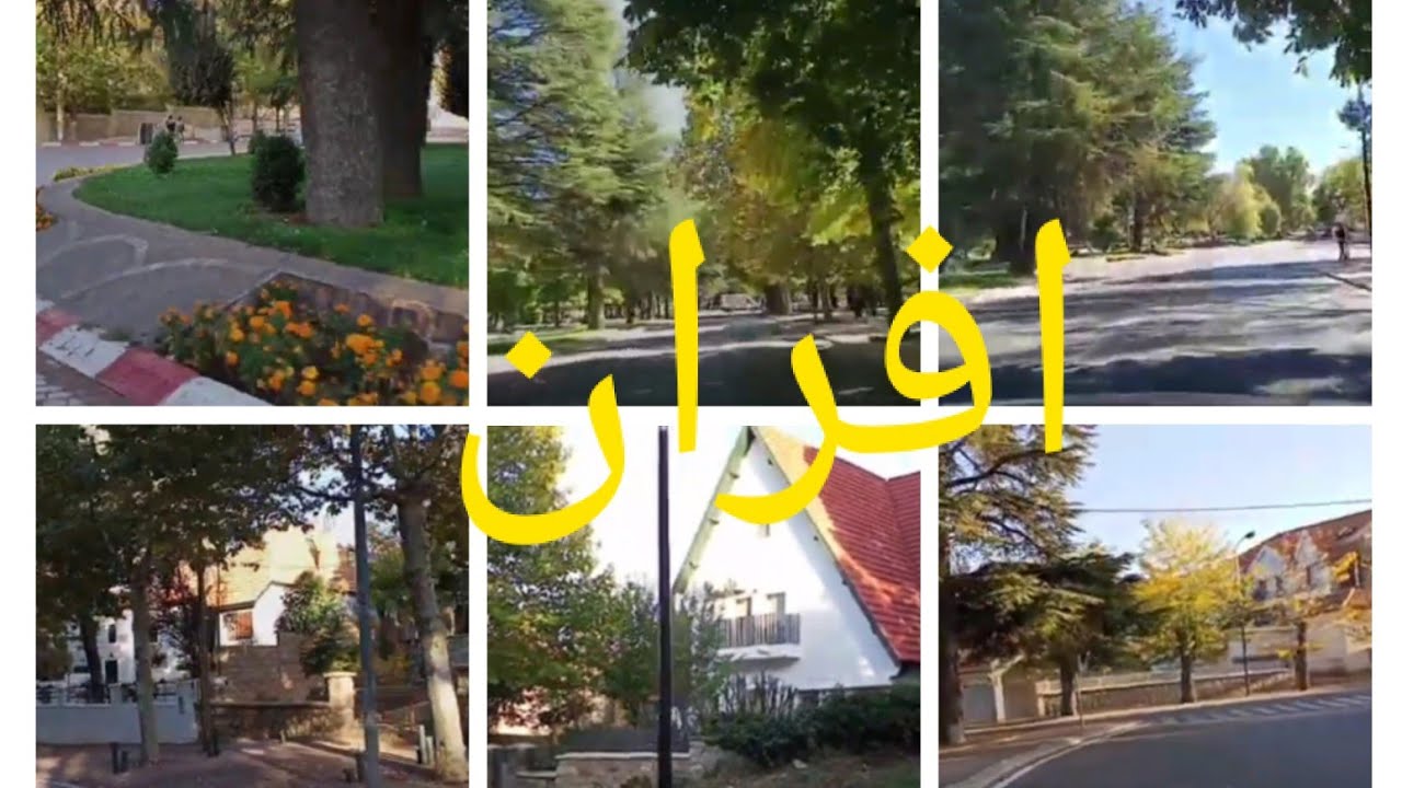 افران ..سحر الطبيعة،الهدوء والهواء النقي،سويسرا المغرب#إفران #ifrane #neige #nature #like
