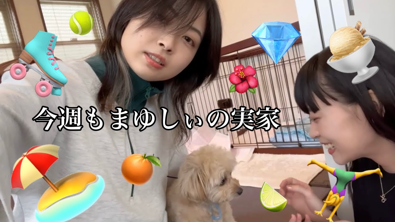 【動画】可愛いしか言ってない✨☺️🐶🫶🌟