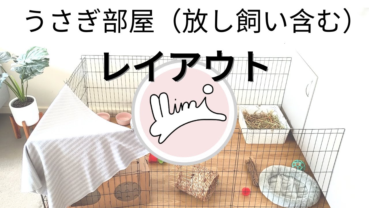 基本のうさぎ部屋の作り方（レイアウト ）