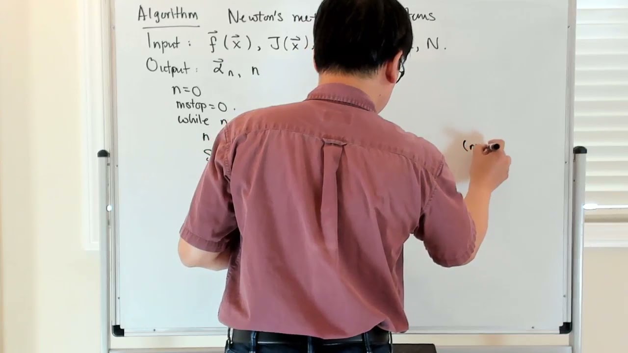 Algorithm: Newton's method for systems