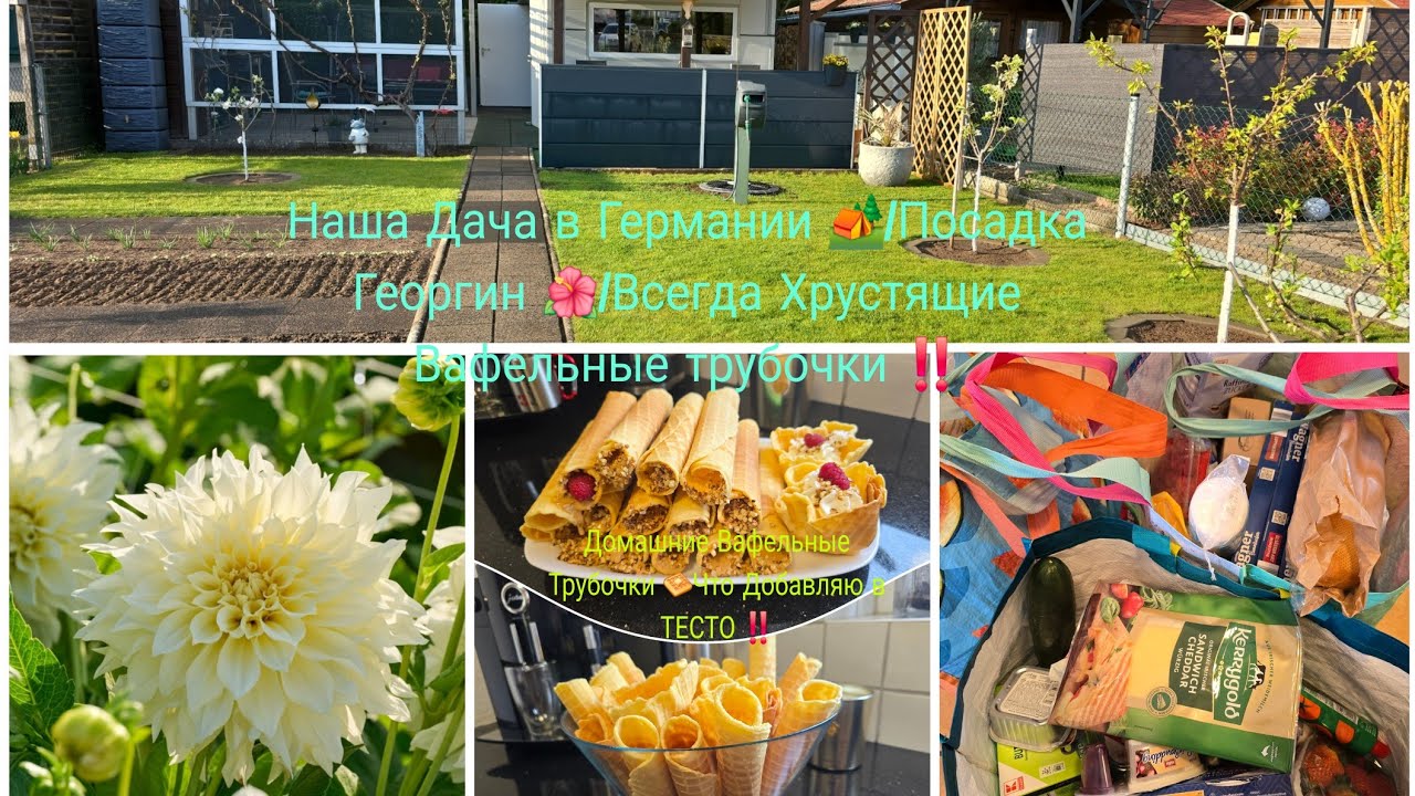 VLOG 🇩🇪  ПРОРАЩИВАЮ СЕМЕНА ТОМАТОВ 🍅ХРУСТЯЩИЕ ВАФЕЛЬНЫЕ ТРУБОЧКИ/СЕКРЕТ ПРИГОТОВЛЕНИЯ ТЕСТО/