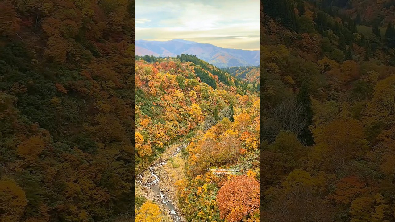 AUTUMN IN NAGANO (Iiyama, Nagano 長野県飯山市)