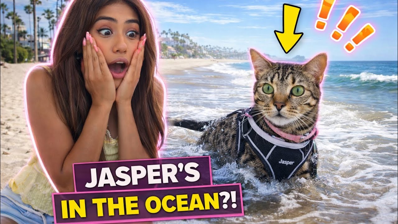 ALY and JASPER went to THE BEACH!