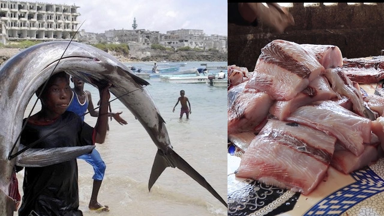 Soomaaliya iyo Kalluumeysiga, Xilliyadan Nuucyada Malaayga  badda laga helo Suuqyadana loogu iibiyo.