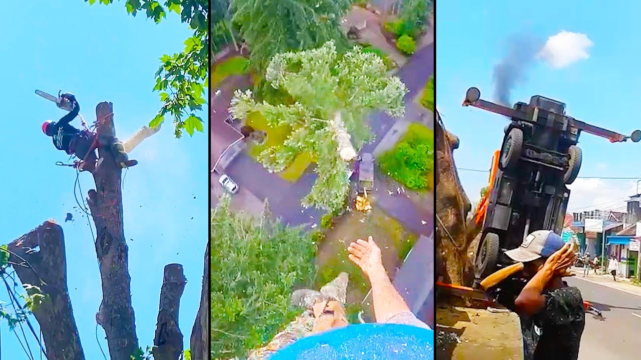 "You Shall NOT PASS!" - Tree Lopping (Part 2)