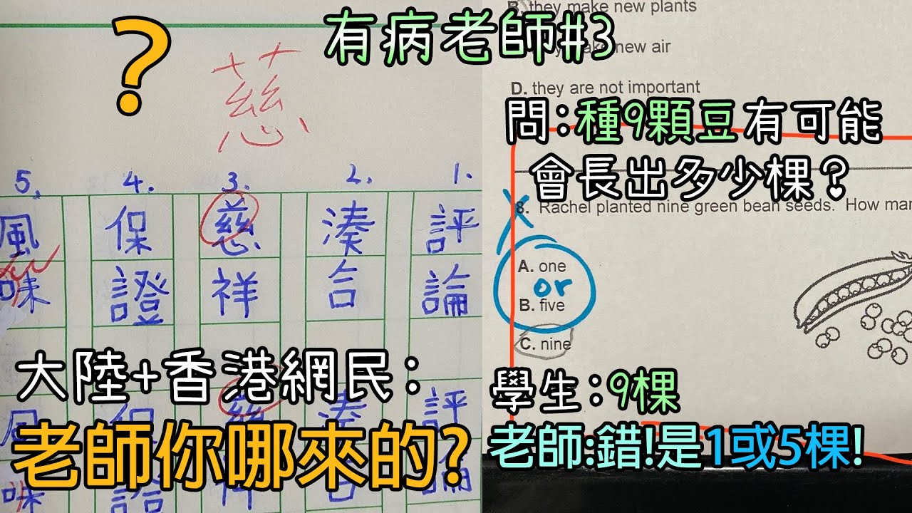 世界各地的有病老師們 回去讀書吧!【有病老師EP3】